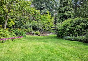 Optimiser l'expérience du jardin à Varennes-Saint-Honorat